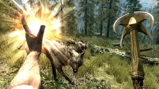 The Elder Scrolls V: Skyrim: «случайный»  движок  